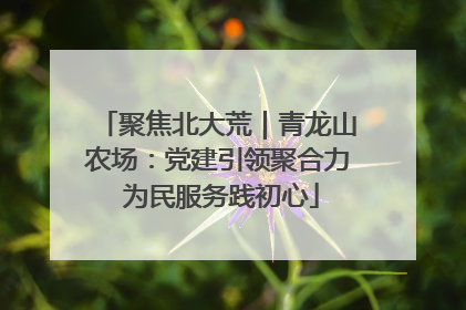 聚焦北大荒｜青龙山农场：党建引领聚合力 为民服务践初心