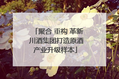 聚合 重构 革新 川酒集团打造原酒产业升级样本