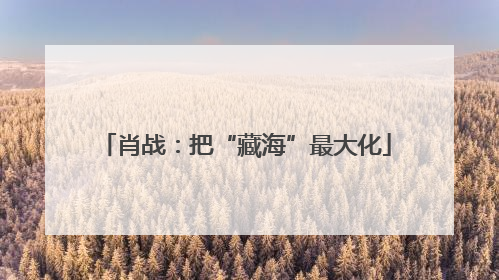 肖战：把“藏海”最大化