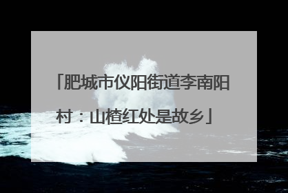 肥城市仪阳街道李南阳村：山楂红处是故乡