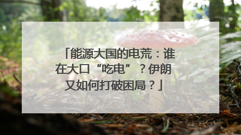 能源大国的电荒：谁在大口“吃电”？伊朗又如何打破困局？