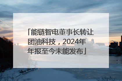 能链智电董事长转让团油科技，2024年年报至今未能发布