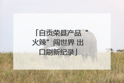 自贡荣县产品“火辣”闯世界 出口刷新纪录