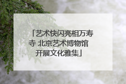 艺术快闪亮相万寿寺 北京艺术博物馆开展文化雅集
