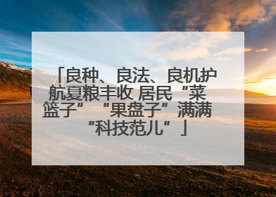 良种、良法、良机护航夏粮丰收 居民“菜篮子”“果盘子”满满“科技范儿”