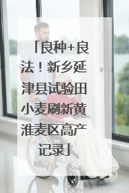 良种+良法！新乡延津县试验田小麦刷新黄淮麦区高产记录
