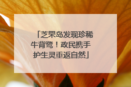 芝罘岛发现珍稀牛背鹭！政民携手护生灵重返自然
