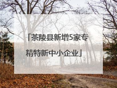 茶陵县新增5家专精特新中小企业