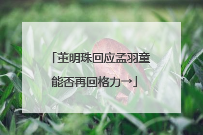 董明珠回应孟羽童能否再回格力→