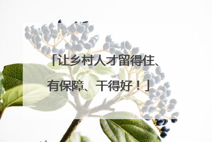 让乡村人才留得住、有保障、干得好！