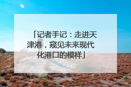 记者手记：走进天津港，窥见未来现代化港口的模样