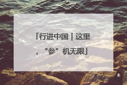行进中国｜这里，“参”机无限