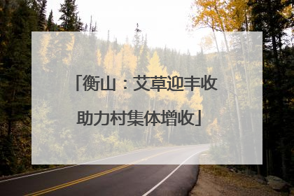 衡山：艾草迎丰收 助力村集体增收