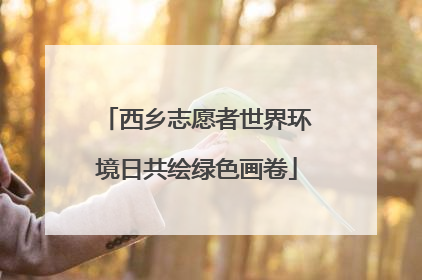 西乡志愿者世界环境日共绘绿色画卷