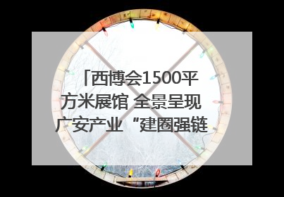 西博会1500平方米展馆 全景呈现广安产业“建圈强链”｜西博视界