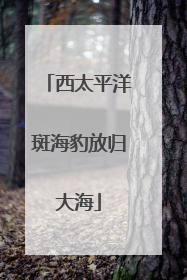 西太平洋斑海豹放归大海