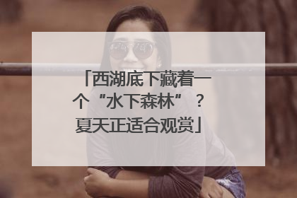 西湖底下藏着一个“水下森林”？夏天正适合观赏