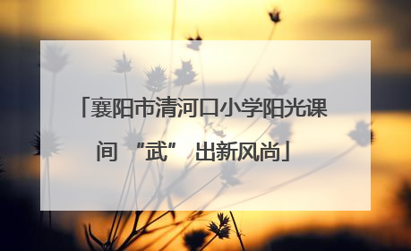 襄阳市清河口小学阳光课间 “武” 出新风尚