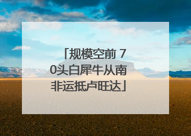 规模空前 70头白犀牛从南非运抵卢旺达
