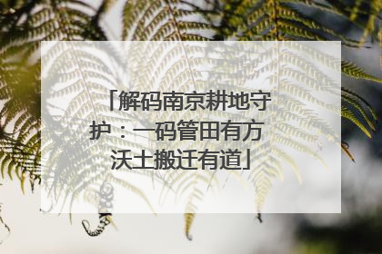 解码南京耕地守护：一码管田有方 沃土搬迁有道