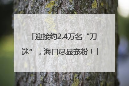 迎接约2.4万名“刀迷”，海口尽显宠粉！