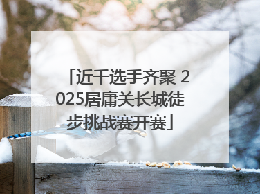 近千选手齐聚 2025居庸关长城徒步挑战赛开赛