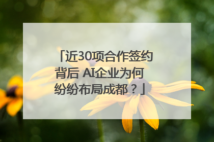 近30项合作签约背后 AI企业为何纷纷布局成都？