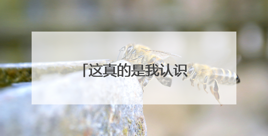 这真的是我认识的那个林志玲吗