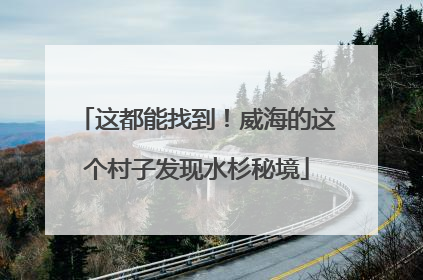 这都能找到！威海的这个村子发现水杉秘境