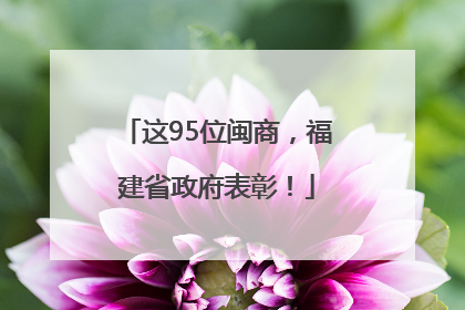 这95位闽商，福建省政府表彰！