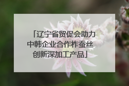 辽宁省贸促会助力中韩企业合作柞蚕丝创新深加工产品