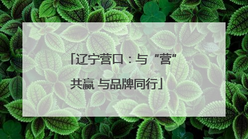 辽宁营口：与“营”共赢 与品牌同行