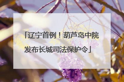 辽宁首例！葫芦岛中院发布长城司法保护令
