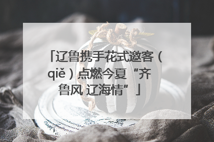 辽鲁携手花式邀客（qiě）点燃今夏“齐鲁风 辽海情”