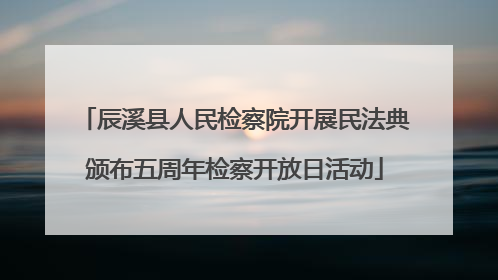 辰溪县人民检察院开展民法典颁布五周年检察开放日活动