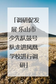 调研促发展 乐山市少先队鼓号队走进凤凰学校进行调研