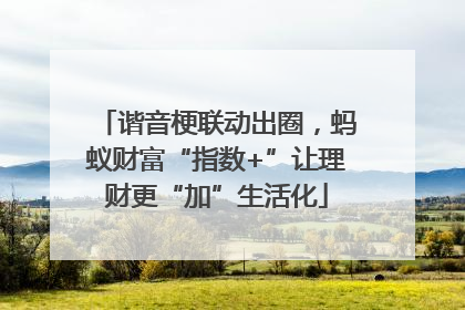 谐音梗联动出圈，蚂蚁财富“指数+”让理财更“加”生活化