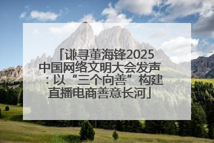 谦寻董海锋2025中国网络文明大会发声：以“三个向善”构建直播电商善意长河