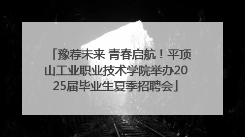 豫荐未来 青春启航！平顶山工业职业技术学院举办2025届毕业生夏季招聘会