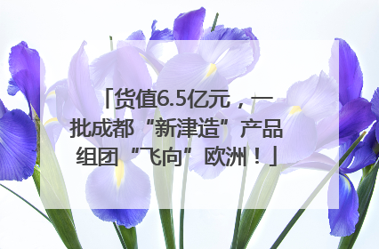 货值6.5亿元，一批成都“新津造”产品组团“飞向”欧洲！