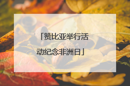 赞比亚举行活动纪念非洲日