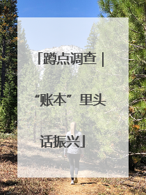 蹲点调查｜“账本”里头话振兴