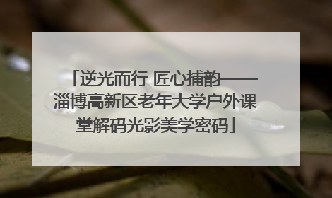 逆光而行 匠心捕韵——淄博高新区老年大学户外课堂解码光影美学密码