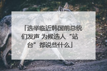 选举临近韩国前总统们发声 为候选人“站台”都说些什么