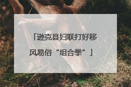 逊克县妇联打好移风易俗“组合拳”