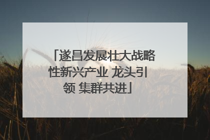 遂昌发展壮大战略性新兴产业 龙头引领 集群共进
