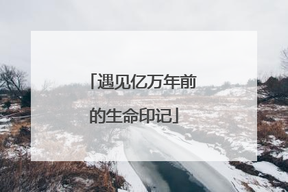 遇见亿万年前的生命印记