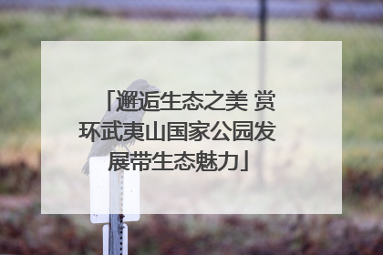 邂逅生态之美 赏环武夷山国家公园发展带生态魅力