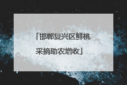 邯郸复兴区鲜桃采摘助农增收