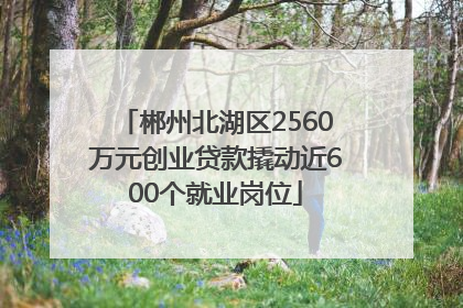 郴州北湖区2560万元创业贷款撬动近600个就业岗位